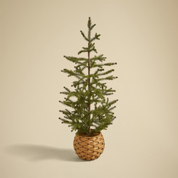 70cm Rattan Pot Tree​ £18 (30975901)