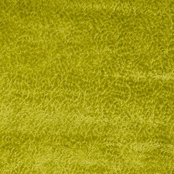 AW23 DG Weaves Flatshots