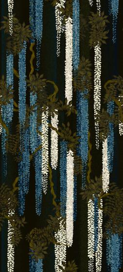 WISTERIA ALBA RUISSEAU WALLPAPER
