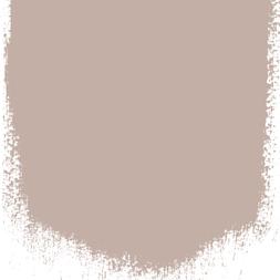 PALE BIRCH 24