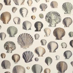CAPTAIN THOMAS BROWN'S SHELLS - OYSTER