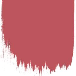 DAMASK ROSE 123