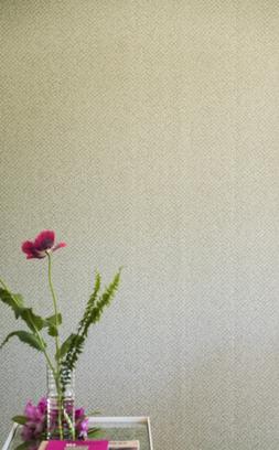 TULIPA STELLATA COLLECTION