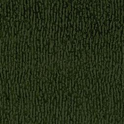 Bourlet - Moss
