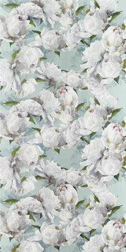 PEONIA - ZINC