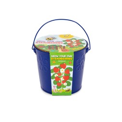 Children's Grow Your Own Bucket, Strawberries