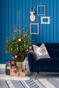 https://webmail.prshots.co.uk/contents/archives/2441/1193/images/thumb350x287_auto/michael_murphy_home_furnishing_dsc07949_thumb.jpg