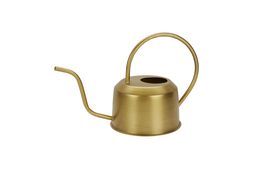 watering can &pound;9.99