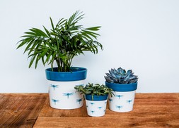 Cacti Planter Dragonfly H13cm D13cm &pound;8.99