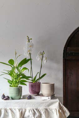 DELPHINE GARLAND RIM PLANTER IN SAGE, COTTON AND PLUM £12.99 TO £15.99