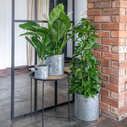 INDOOR PLANTER WITH STAR IN GALVANISED STEEL H28CM W28CM £39.99
