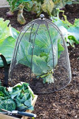 OUTDOOR WIRED PLANT PROTECTOR ZINC H55CM W47CM