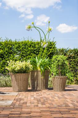 POLYRATTAN NATURAL LINED PLANTER H40CM D36CM &pound;39.99 & POLYRATTAN NATURAL LINED PLANTER H49CM D44CM &pound;59.99