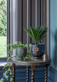 https://webmail.prshots.co.uk/contents/archives/3698/1568/images/thumb350x287_auto/ivyline-kew-leaf-embosed-moss-cork-planter-h18cm-d18cm-29.99-kew_3f9f9_thumb.jpg