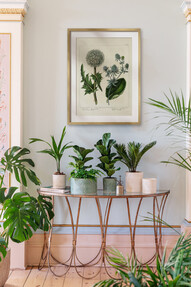 https://webmail.prshots.co.uk/contents/archives/3698/1568/images/thumb350x287_auto/ivyline-kew-stoneware-sago-palm-planters-in-ivory-olive-17.99-29_44fa2_thumb.jpg