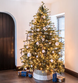 Christmas at Ivyline