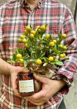 The Calamondin Orange Crate