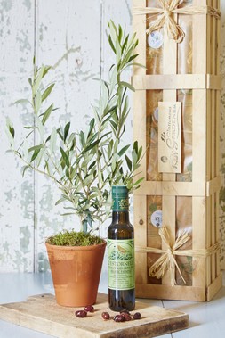 The Olive Enthusiasts Gift Kit