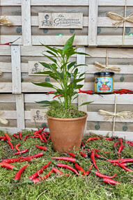 https://webmail.prshots.co.uk/contents/archives/4061/1655/images/thumb350x287_auto/the-gluttonous-gardener_fathers-day-chilli-box_thumb.jpg